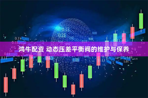 鸿牛配资 动态压差平衡阀的维护与保养
