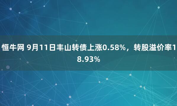 恒牛网 9月11日丰山转债上涨0.58%，转股溢价率18.93%