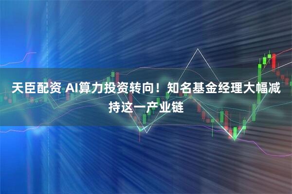 天臣配资 AI算力投资转向！知名基金经理大幅减持这一产业链