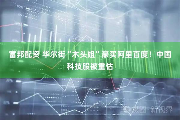 富邦配资 华尔街“木头姐”豪买阿里百度！中国科技股被重估
