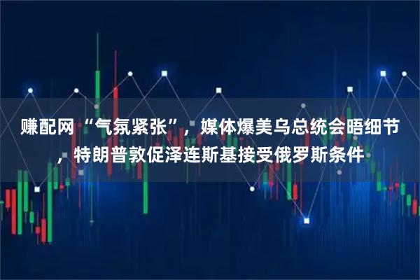 赚配网 “气氛紧张”,媒体爆美乌总统会晤细节,特朗普敦促泽连斯基接受俄罗斯条件