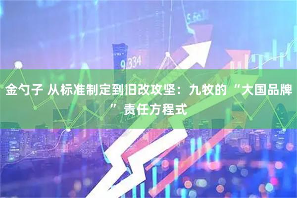 金勺子 从标准制定到旧改攻坚：九牧的 “大国品牌” 责任方程式