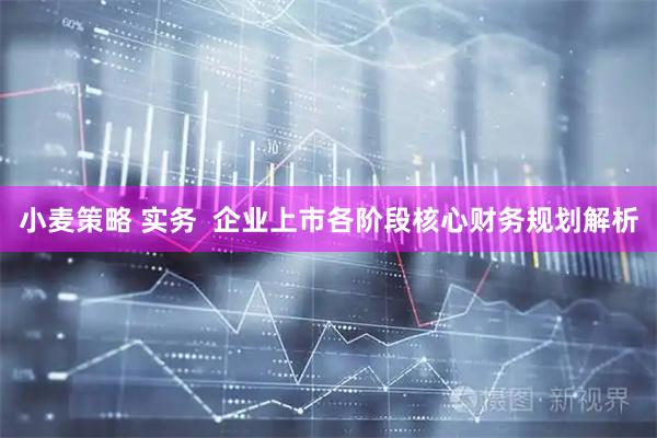 小麦策略 实务  企业上市各阶段核心财务规划解析