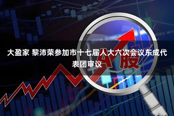 大盈家 黎沛荣参加市十七届人大六次会议东成代表团审议