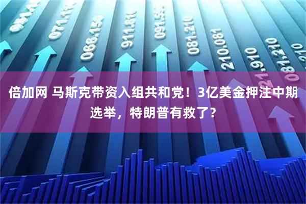 倍加网 马斯克带资入组共和党！3亿美金押注中期选举，特朗普有救了？